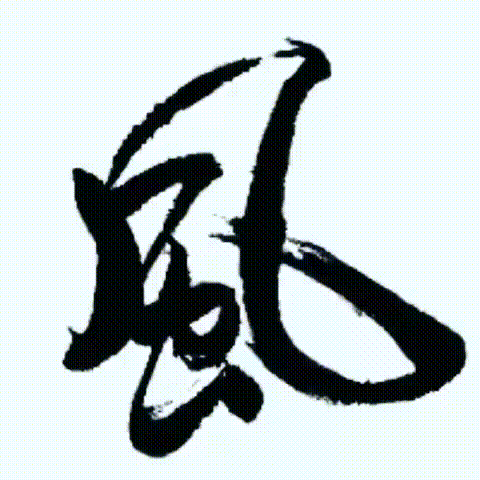 A fluid moving from the chinese characters feng to shui.